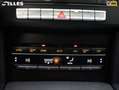 Mercedes-Benz E 220 BlueTEC Lease Edition Grau - thumbnail 30