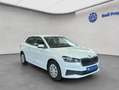 Skoda Fabia 1.0 TSI DSG Ambition Blanc - thumbnail 8