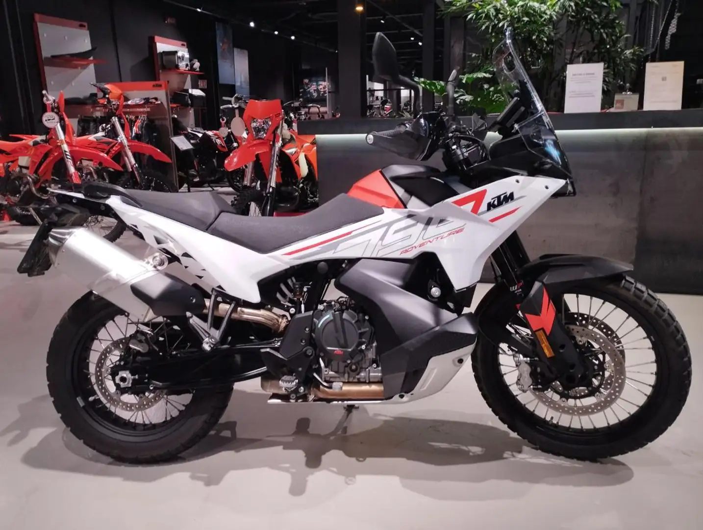 KTM 790 Adventure 790 ADVENTURE Bianco - 1
