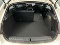 BMW 135 -27% M 135I 306 BVA8 4x4 +GPS+CAM+PARK ASSIST+Opts Beige - thumbnail 38