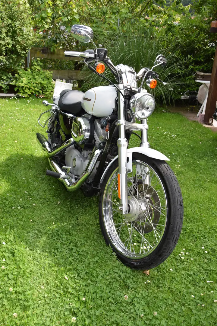 Harley-Davidson Sportster 883 Custom Bílá - 2