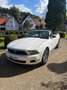 Ford Mustang Cabrio Spezialausstattung Weiß - thumbnail 2