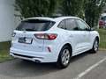 Ford Kuga ST-Line X PHEV 225PS Automatik Weiß - thumbnail 4