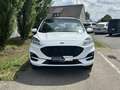 Ford Kuga ST-Line X PHEV 225PS Automatik Weiß - thumbnail 2