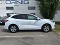 Ford Kuga ST-Line X PHEV 225PS Automatik Weiß - thumbnail 6