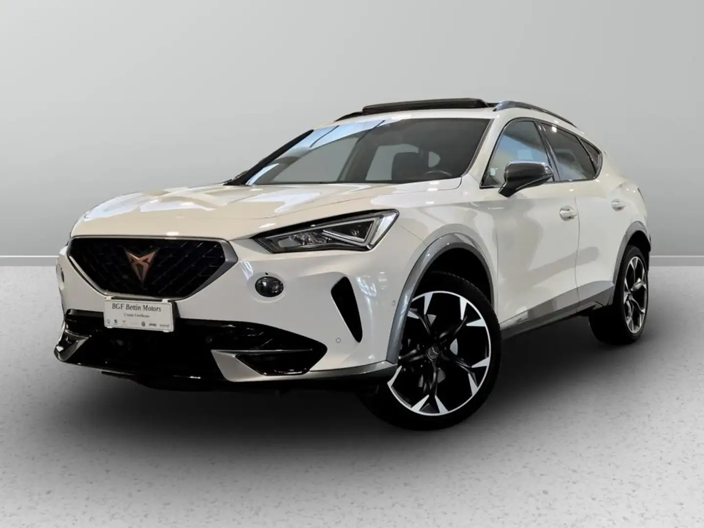 CUPRA Formentor 2.0 tdi Bianco - 1