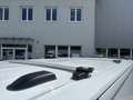 Ford Transit Custom Kasten 2,0 EcoBlue L2H1 320 Multicab Limited Weiß - thumbnail 3