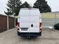 Peugeot Boxer 35+ L4H3 BlueHDi 140/MwSt. ausweisbar Weiß - thumbnail 8