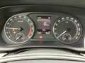 Skoda Octavia Combi 2.0 TDI Ambition AHK GRA APP SHZ P Gris - thumbnail 13