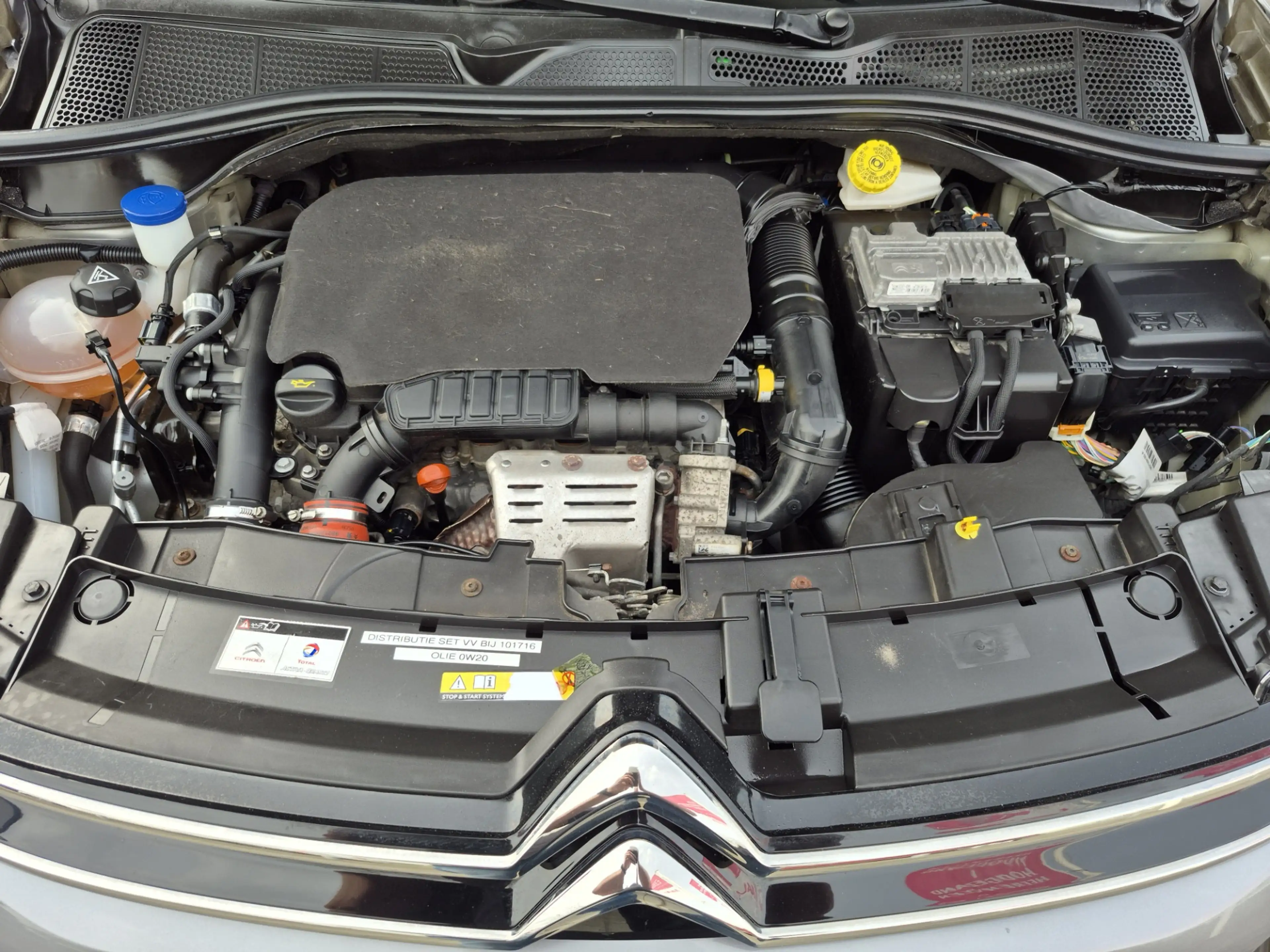 Citroen C4 Cactus BWJ 2018 | 1.2PT 111PK Business NL AUTO | CLIMA | — photo 19