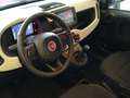 Fiat Panda 1.0 Hybrid Pandina - Unicoproprietario - Km 16.200 Weiß - thumbnail 8
