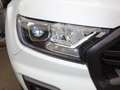 Ford Ranger Doppelkabine 4x4 Wildtrak LED Navi Kamera ACC Blanco - thumbnail 3