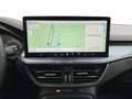 Ford Focus Active V 2022 - Focus Active 1.5 ecoblue X 115cv a Blau - thumbnail 14