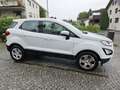Ford EcoSport Trend Weiß - thumbnail 4