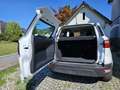 Ford EcoSport Trend Weiß - thumbnail 5