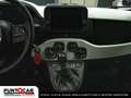 Fiat Panda Pandina Cross 1.0 FireFly S&S Hybrid PROMO FLEX Grün - thumbnail 12