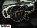 Fiat Panda Pandina Cross 1.0 FireFly S&S Hybrid PROMO FLEX Grün - thumbnail 9