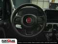 Fiat Panda Pandina Cross 1.0 FireFly S&S Hybrid PROMO FLEX Grün - thumbnail 10