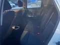 Nissan Juke 1.5dCi Tekna 4x2 Weiß - thumbnail 11