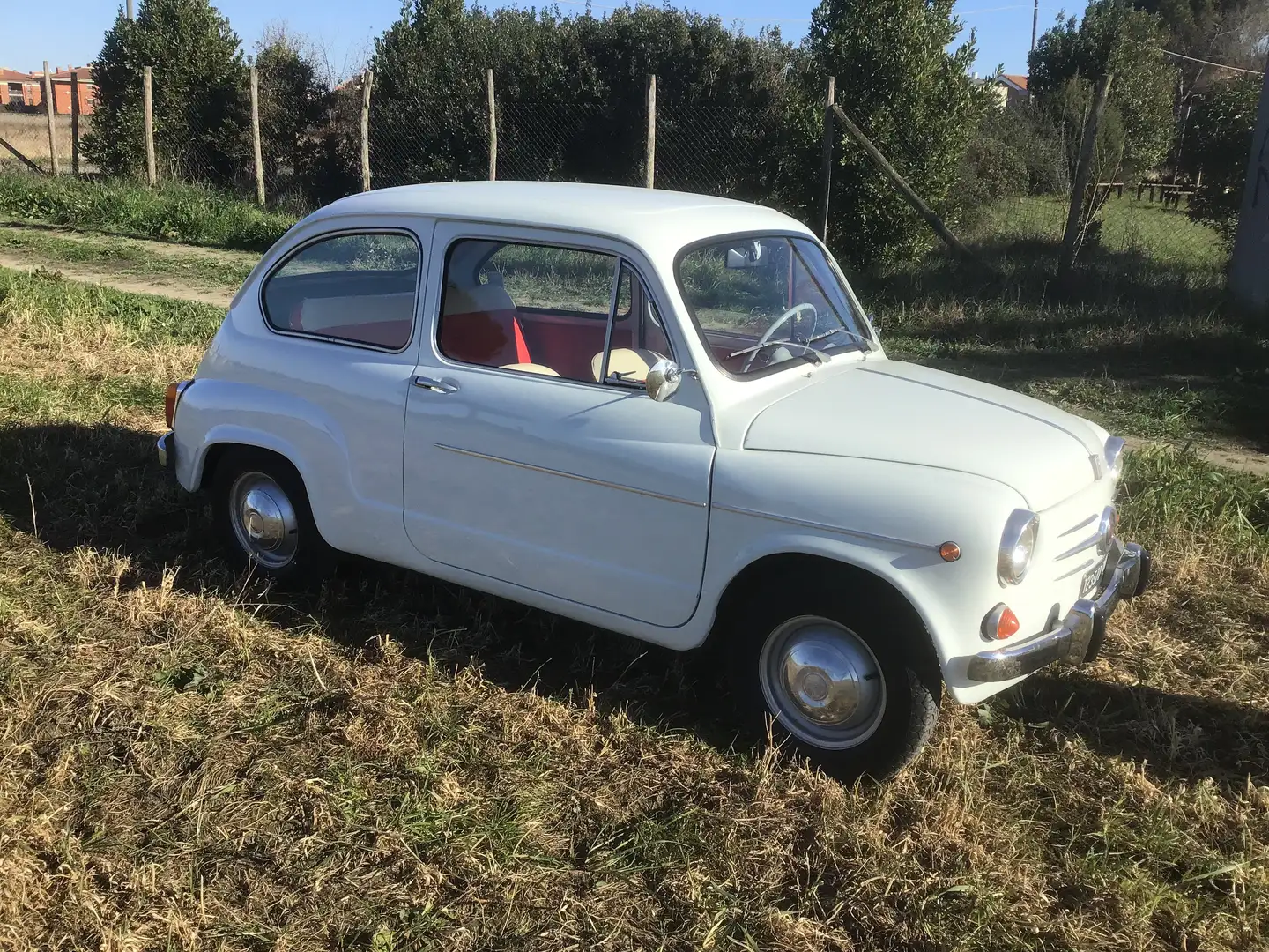 Fiat 600 600D  cc750 Wit - 2