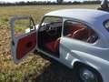 Fiat 600 600D  cc750 Wit - thumbnail 4
