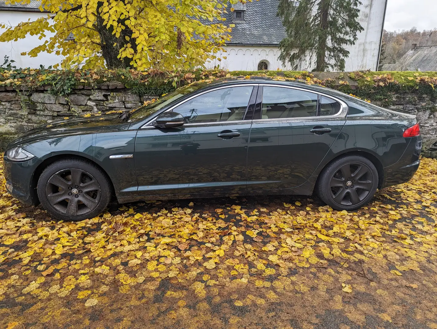 Jaguar XF XF 2.2 Diesel Grün - 1