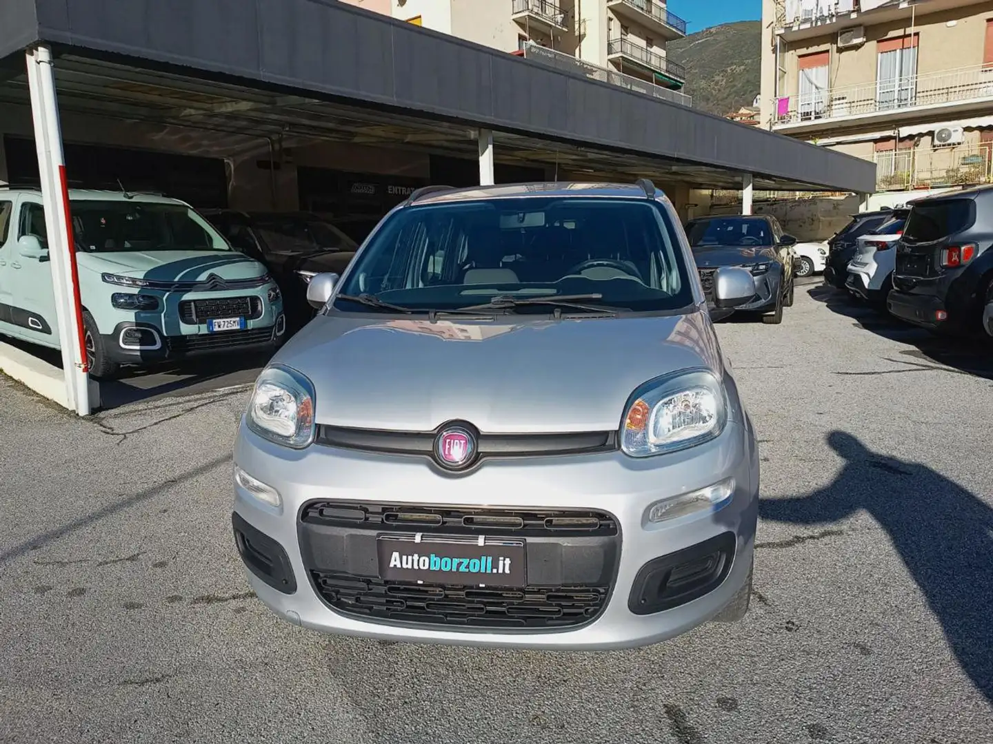 Fiat Panda 1.2 Lounge KM.88500 DISTRIBUZIONE E FRIZIONE NUOVE Argento - 2