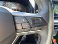 SEAT Ibiza 1.0 TSI S&S Xcellence 115 Gris - thumbnail 14