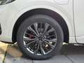 Ford Kuga 2.5 PHEV 243 PK Baan Twente Edition | Parelmoer wi Wit - thumbnail 10