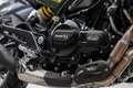 Benelli Leoncino 500 Trail, unfallfrei, 1. Hand Groen - thumbnail 15