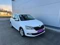 Skoda Fabia Ambition TSI **GARANTIE**APP**SITZHEIZUNG** Weiß - thumbnail 20