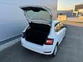 Skoda Fabia Ambition TSI **GARANTIE**APP**SITZHEIZUNG** Weiß - thumbnail 24