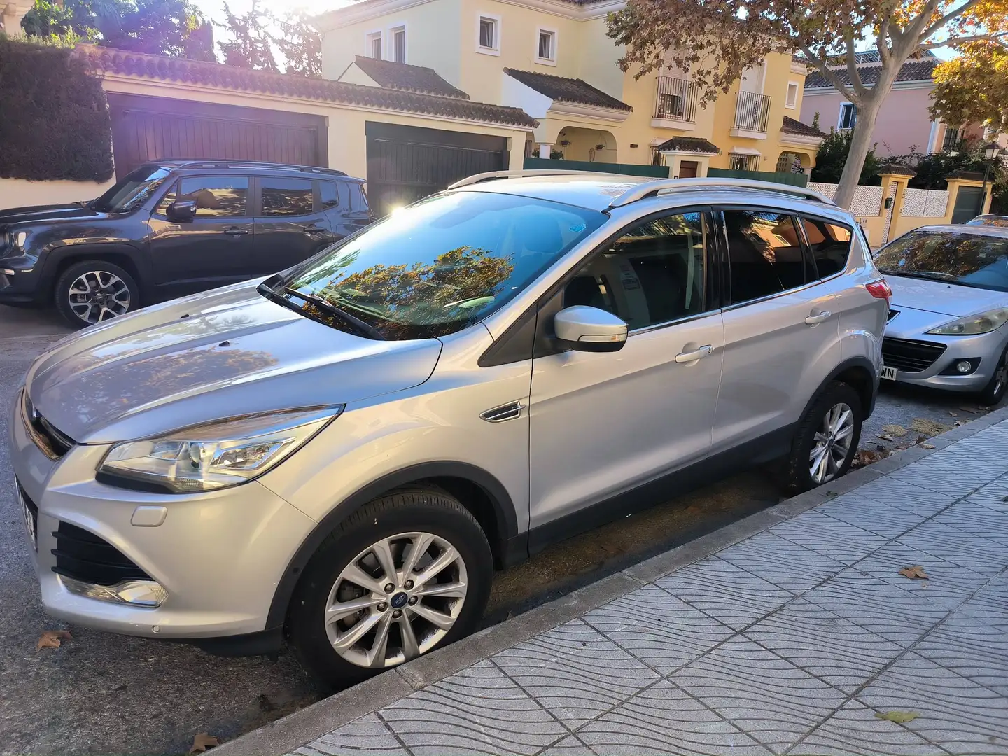 Ford Kuga Kuga 2.0TDCi Titanium S 4x2 150 Titanium S Gris - 1
