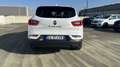 Renault Kadjar 1.5 blue dci Business 115cv edc Bianco - thumbnail 6