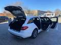 Mercedes-Benz C 250 C -Klasse T-Modell C 250 T BlueTec / d Weiß - thumbnail 12