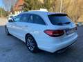 Mercedes-Benz C 250 C -Klasse T-Modell C 250 T BlueTec / d Weiß - thumbnail 4