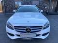 Mercedes-Benz C 250 C -Klasse T-Modell C 250 T BlueTec / d Weiß - thumbnail 6