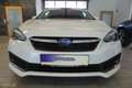Subaru Impreza AWD Exclusive Line Aut.ACC/LED/SHZ Weiß - thumbnail 2