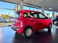 Fiat Panda Panda III 2016 1.2 Pop s Rot - thumbnail 5