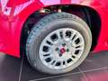 Fiat Panda Panda III 2016 1.2 Pop s Rot - thumbnail 13