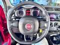 Fiat Panda Panda III 2016 1.2 Pop s Rot - thumbnail 12