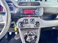 Fiat Panda Panda III 2016 1.2 Pop s Rot - thumbnail 11