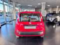 Fiat Panda Panda III 2016 1.2 Pop s Rot - thumbnail 4
