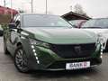 Peugeot 308 Active Pack Grün - thumbnail 41