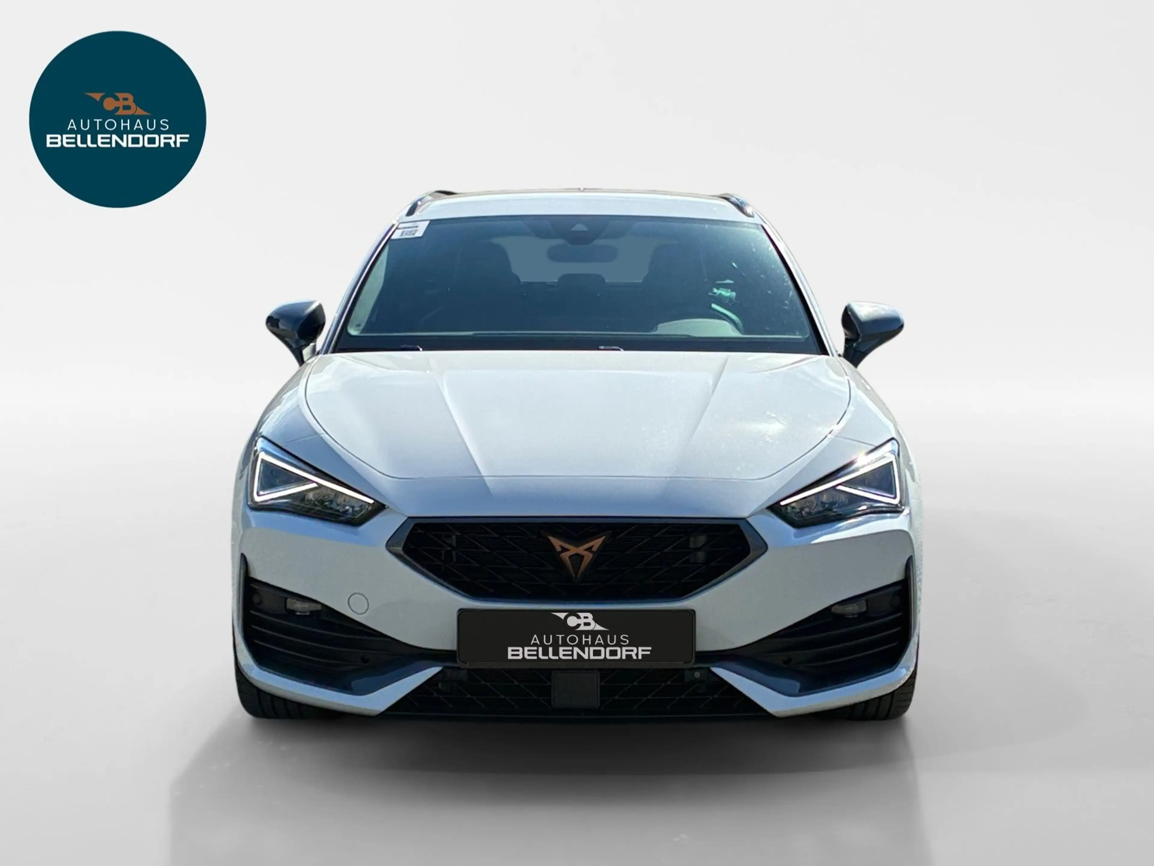 CUPRA Leon Cupra Leon Sportstourer 2.0 TDI DSG Navi Rückfah — photo 9