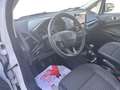 Ford EcoSport 1.0 EcoBoost 125 CV Start&Stop Titanium Blanc - thumbnail 9