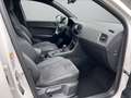 CUPRA Ateca 2.0 TSI 4Drive DSG VZ *LED*Navi* Weiß - thumbnail 13