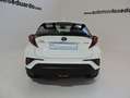 Toyota C-HR 125H Advance Blanco - thumbnail 5