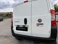 Fiat Fiorino KM 0 - Professional full optional Білий - thumbnail 2