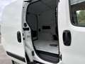 Fiat Fiorino KM 0 - Professional full optional Білий - thumbnail 4